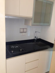 Opal Suites (D12), Apartment #134617602